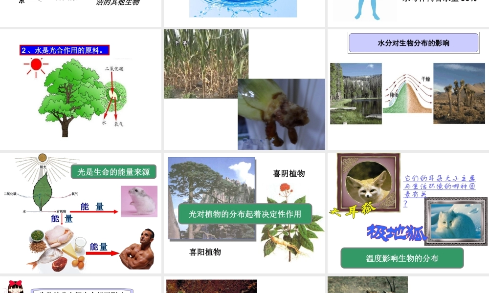 八年级生物下册 第23章 第一节 生物的生存依赖一定的环境课件 （新版）北师大版-（新版）北师大级下册生物课件