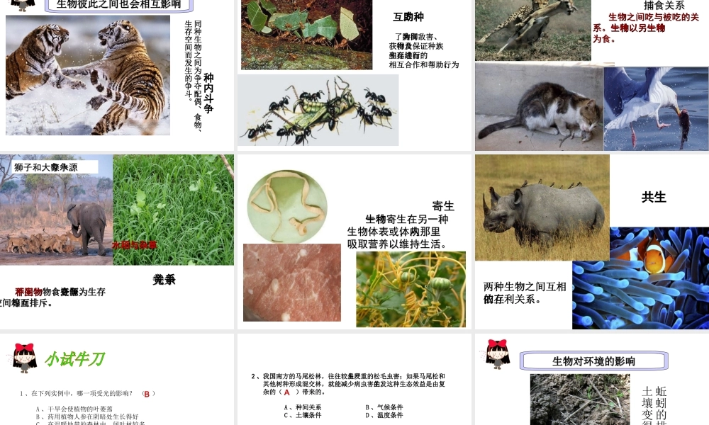 八年级生物下册 第23章 第一节 生物的生存依赖一定的环境课件 （新版）北师大版-（新版）北师大级下册生物课件