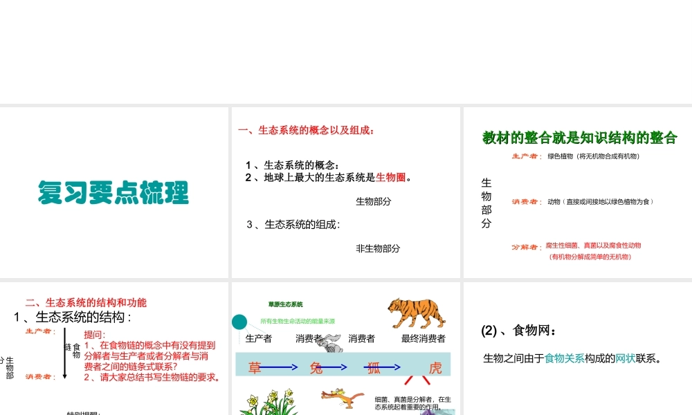 八年级生物下册 第23章 生态系统及其稳定性复习课件 北师大版