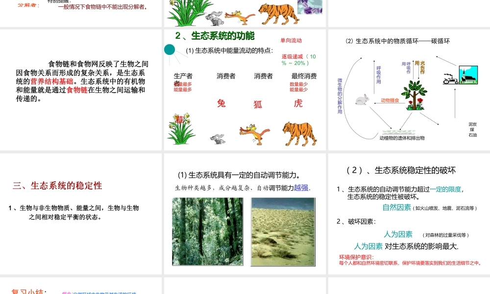 八年级生物下册 第23章 生态系统及其稳定性复习课件 北师大版