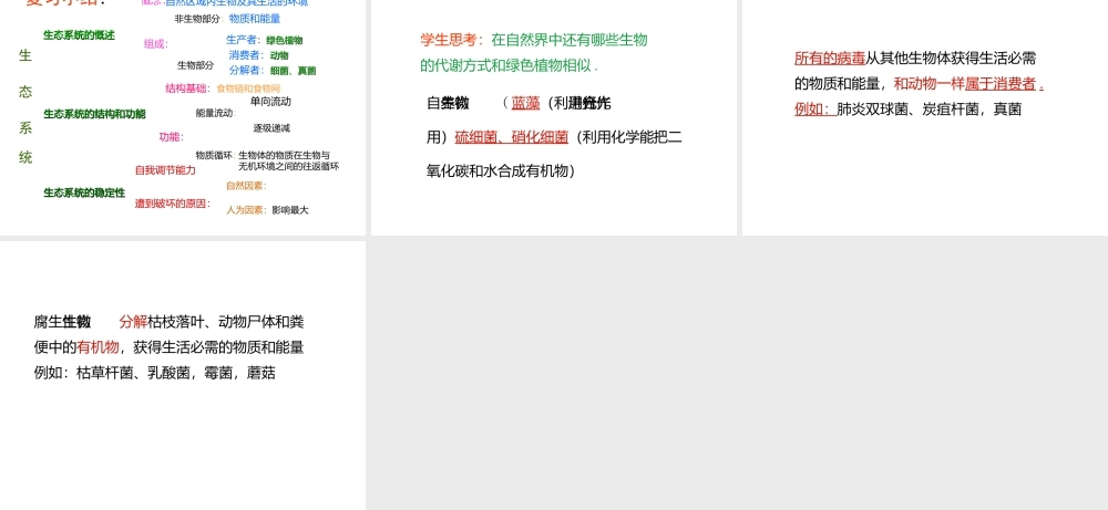 八年级生物下册 第23章 生态系统及其稳定性复习课件 北师大版