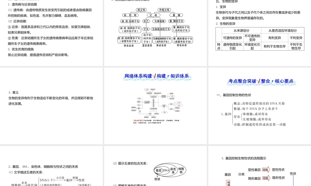 八年级生物下册 第二十二章 生物的遗传和变异复习课件 （新版）苏教版