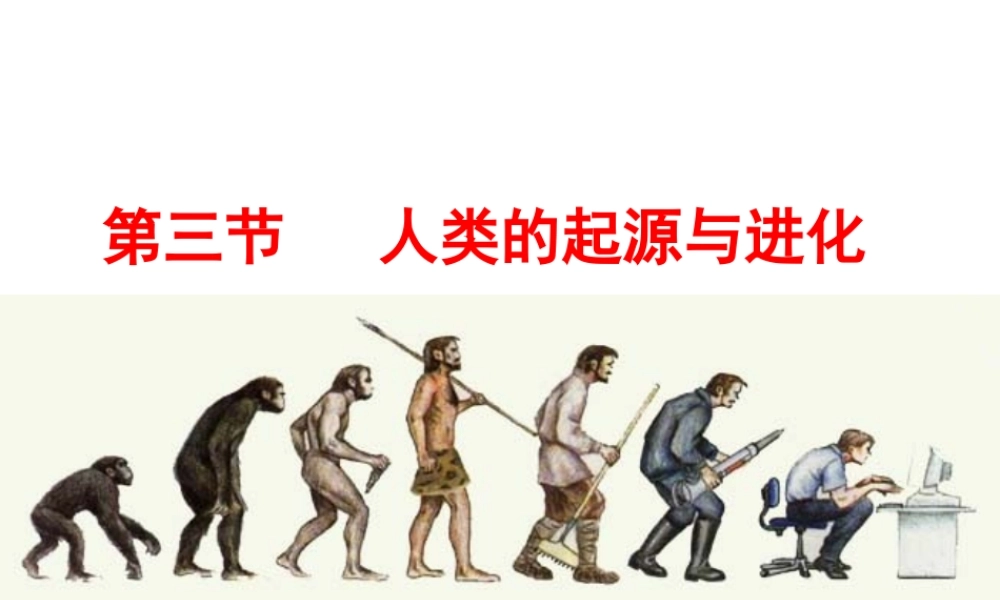 八年级生物下册 第7单元 第21章 第3节《人类的起源和进化》课件 北师大版
