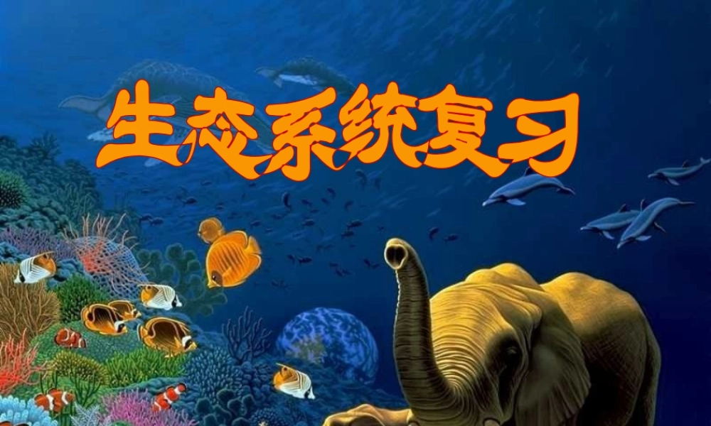 八年级生物下册 第23章《生态系统及其稳定性》复习课件 （新版）北师大版