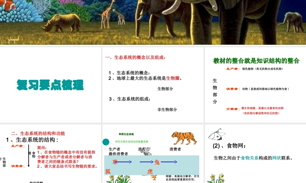 八年级生物下册 第23章《生态系统及其稳定性》复习课件 （新版）北师大版