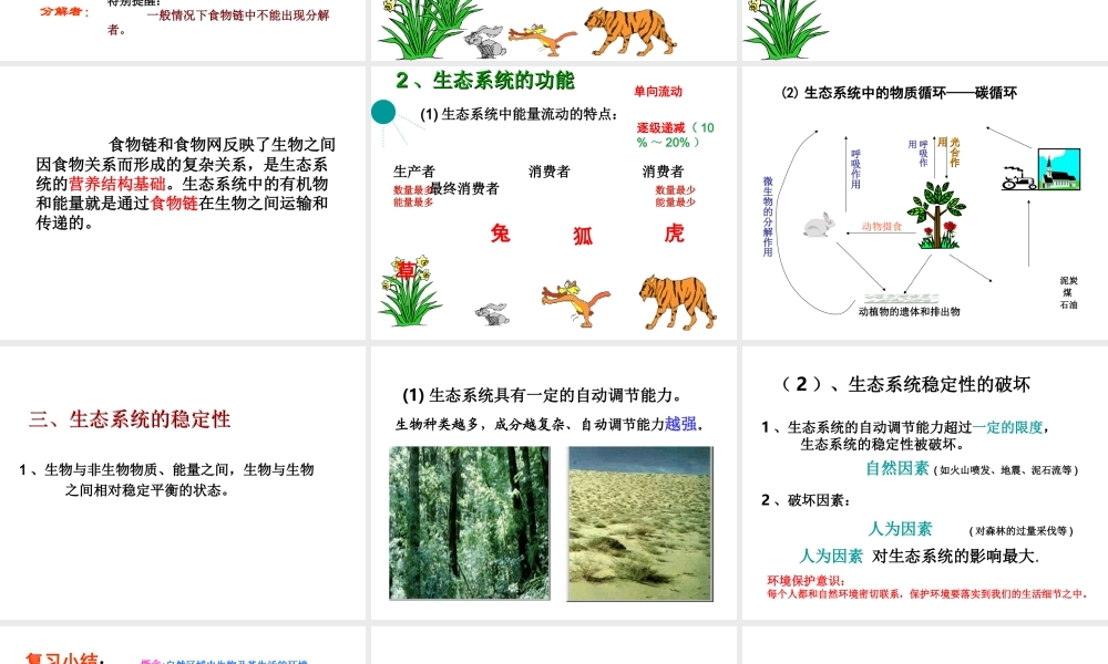 八年级生物下册 第23章《生态系统及其稳定性》复习课件 （新版）北师大版