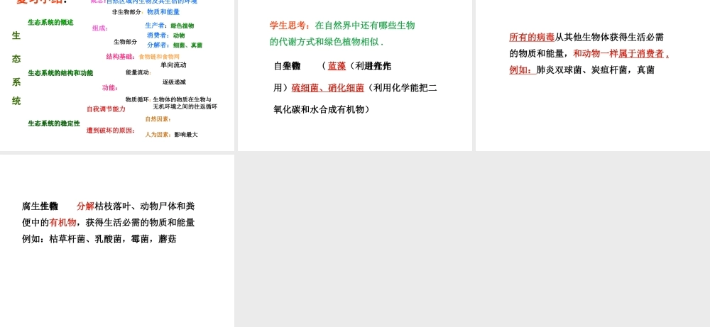 八年级生物下册 第23章《生态系统及其稳定性》复习课件 （新版）北师大版