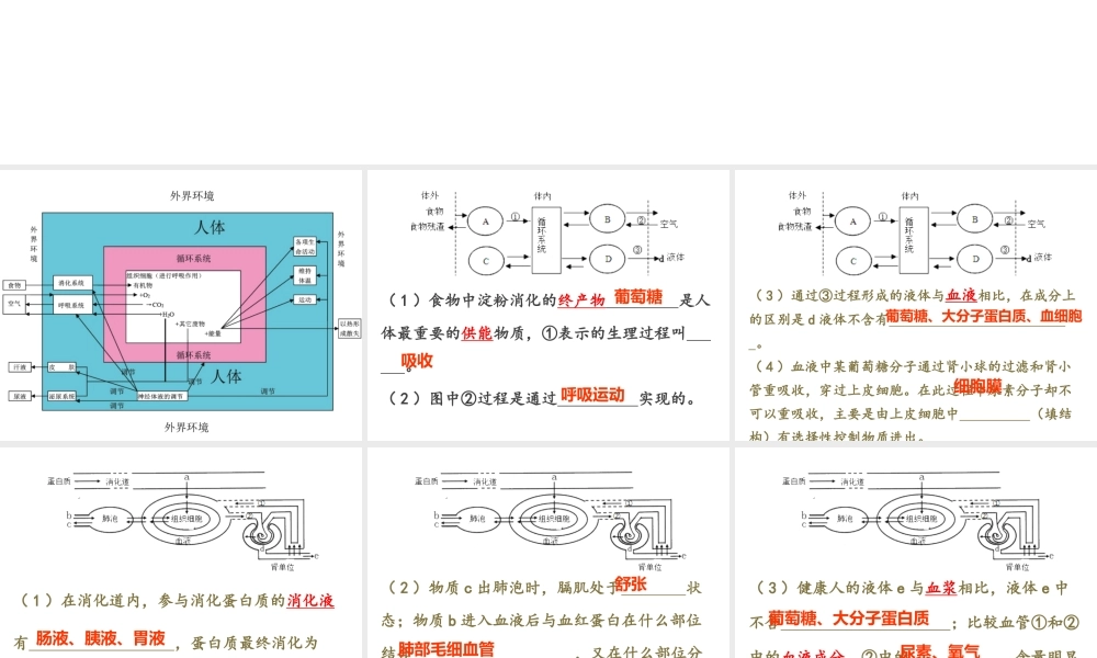 八年级生物下册 第二轮复习 专题四 生物圈中的人课件 新人教版-新人教级下册生物课件