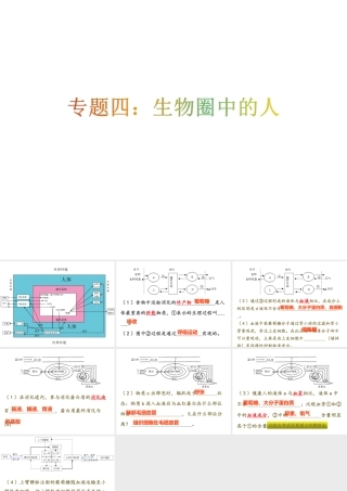八年级生物下册 第二轮复习 专题四 生物圈中的人课件 新人教版-新人教级下册生物课件