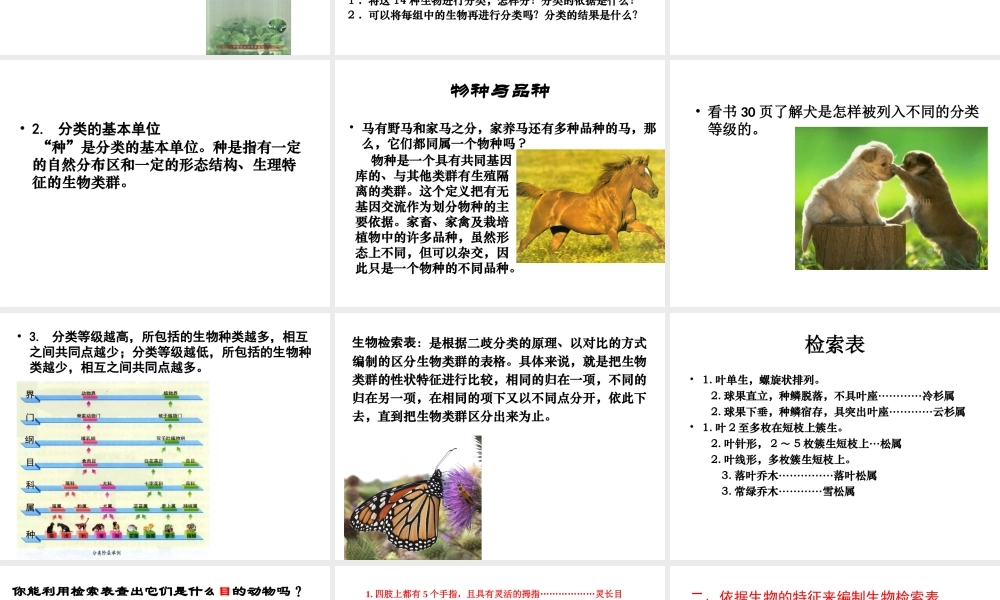 八年级生物下册 第7单元 第22章 第1节 生物的分类课件 北师大版-北师大版初中八年级下册生物课件