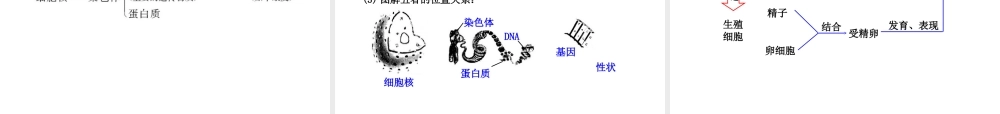 八年级生物下册 第二十二章 生物的遗传和变异课件 （新版）苏教版