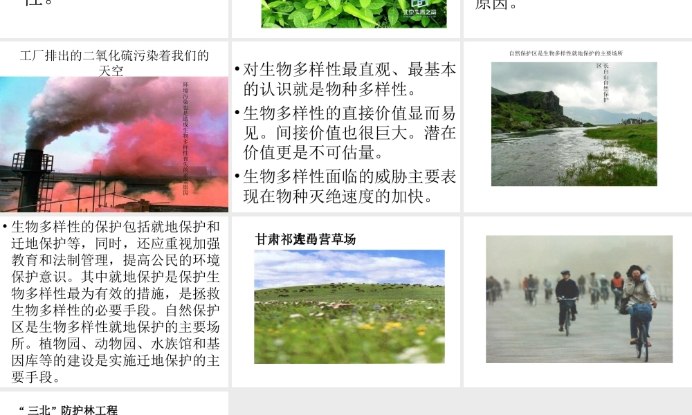 八年级生物下册 第23章《生物多样性保护》课件 苏教版