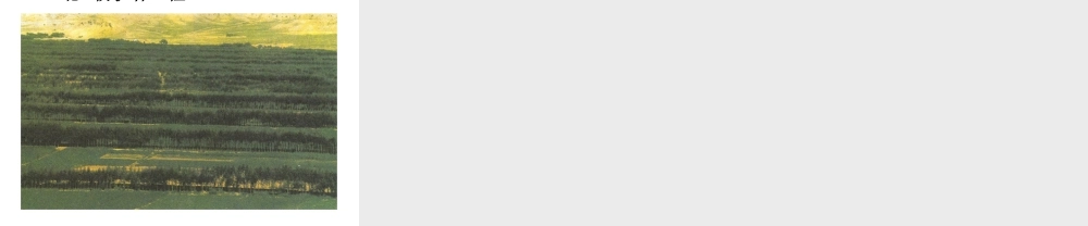 八年级生物下册 第23章《生物多样性保护》课件 苏教版