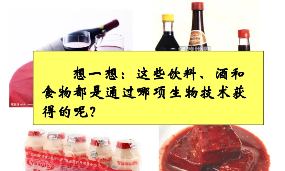 八年级生物下册 第二十课 第一节 源远流长的发酵技术课件 苏教版