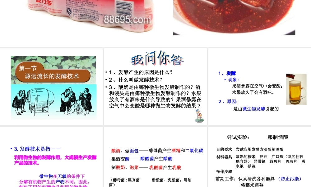 八年级生物下册 第二十课 第一节 源远流长的发酵技术课件 苏教版