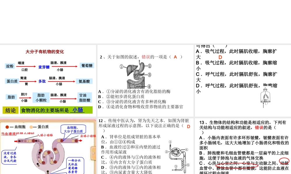 八年级生物下册 第二轮复习 专题五 生物圈生命的延续和发展课件 新人教版-新人教版初中八年级下册生物课件