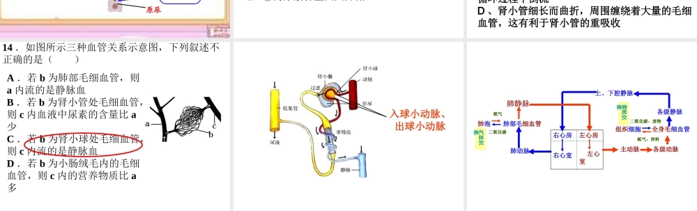 八年级生物下册 第二轮复习 专题五 生物圈生命的延续和发展课件 新人教版-新人教版初中八年级下册生物课件