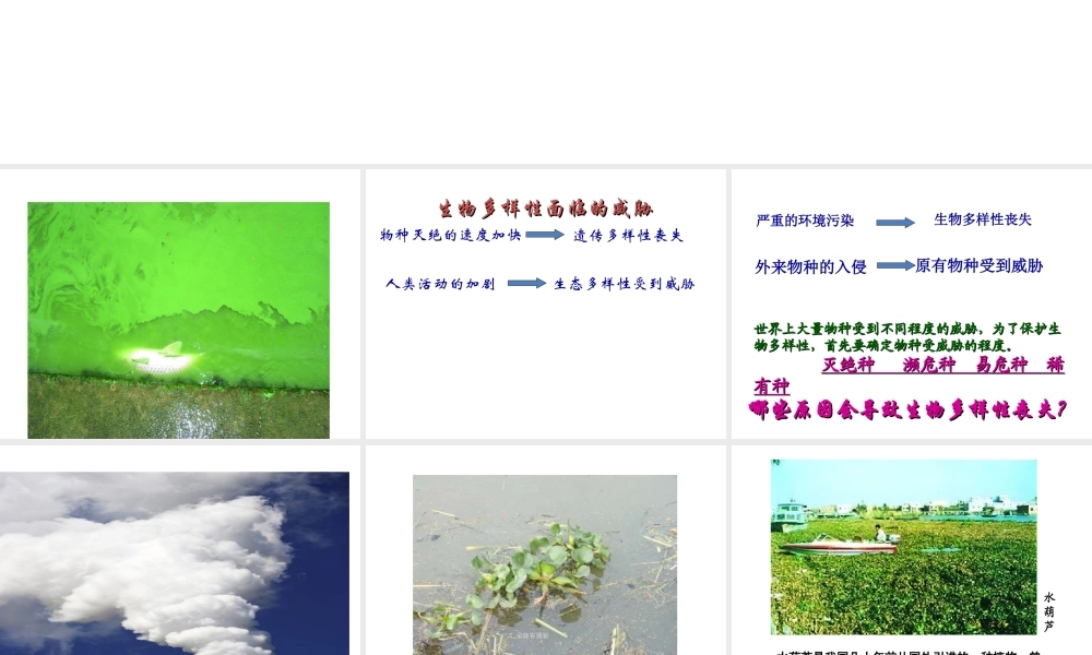 八年级生物下册 第23章第2节《保护生物多样性的艰巨使命》课件 苏教版