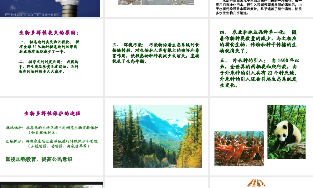 八年级生物下册 第23章第2节《保护生物多样性的艰巨使命》课件 苏教版