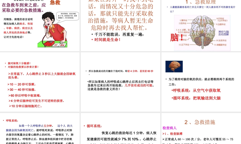 八年级生物下册 第八单元 第二章 用药与急救课件 新人教版