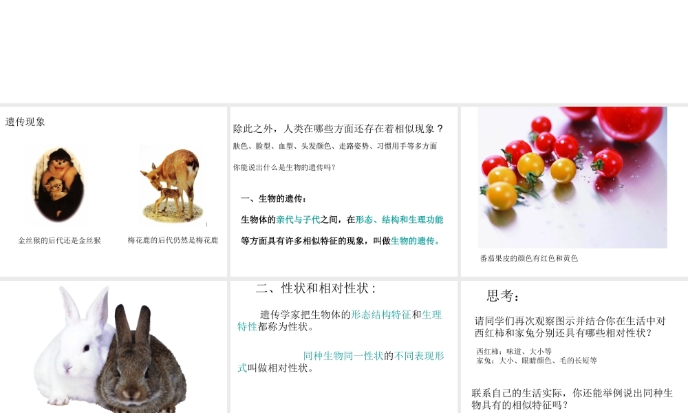 八年级生物下册 第7单元 第22章 第1节 生物的遗传课件 （新版）苏科版