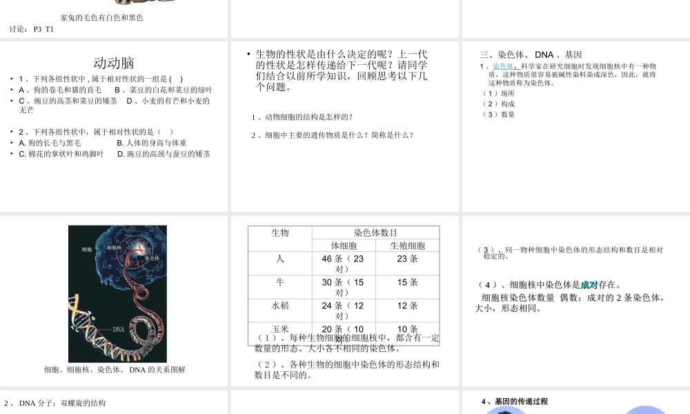 八年级生物下册 第7单元 第22章 第1节 生物的遗传课件 （新版）苏科版