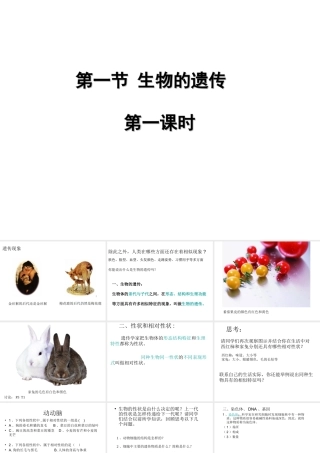 八年级生物下册 第7单元 第22章 第1节 生物的遗传课件 （新版）苏科版