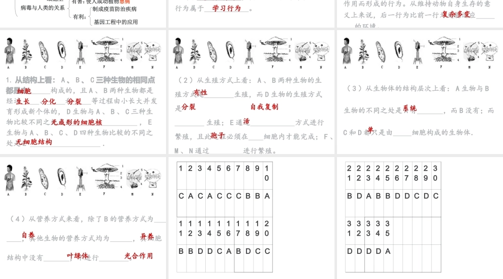 八年级生物下册 第二轮复习 专题五 生物圈中的其他生物课件 新人教版-新人教版初中八年级下册生物课件