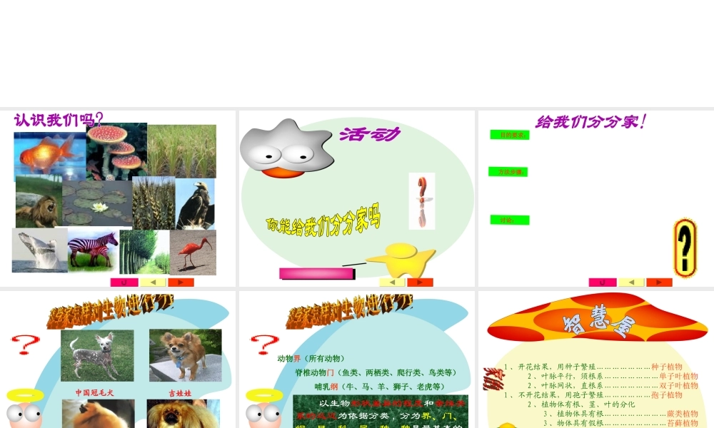 八年级生物下册 第7单元 第22章 第1节《生物的分类》课件 北师大版