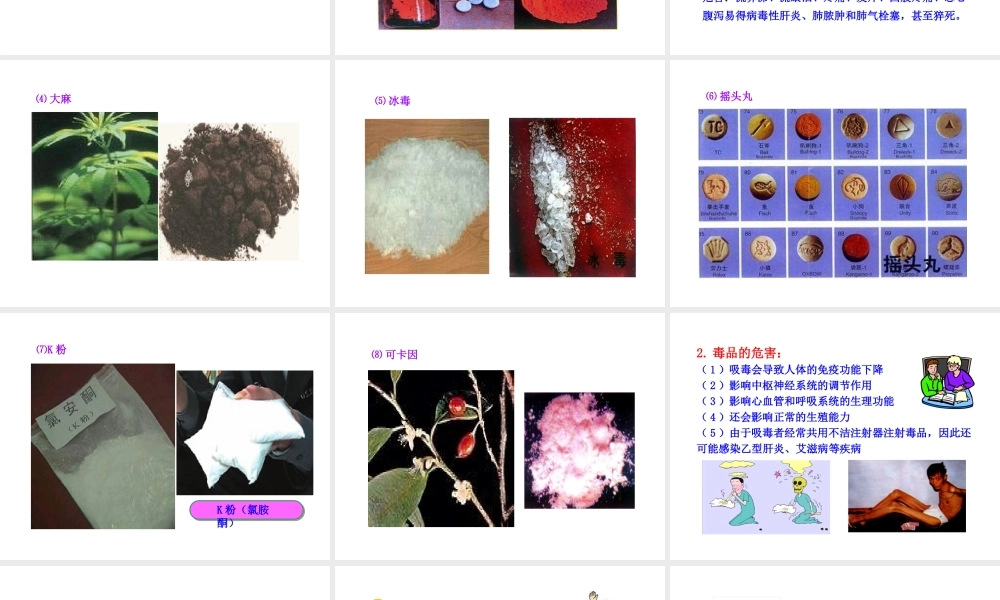 八年级生物下册 第二十六章 第2节《拒绝毒品》课件 （新版）苏教版