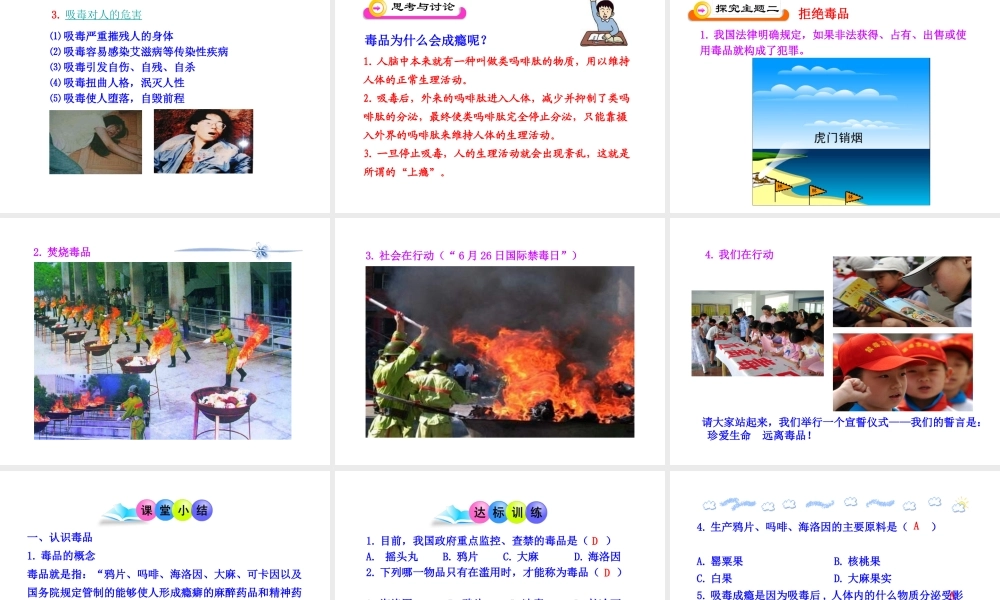 八年级生物下册 第二十六章 第2节《拒绝毒品》课件 （新版）苏教版