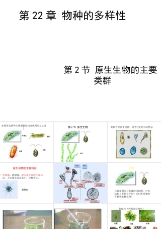 八年级生物下册 第7单元 第22章 第2节 原生生物的主要类群课件 北师大版-北师大版初中八年级下册生物课件
