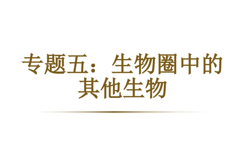 八年级生物下册 第二轮复习 专题五 生物圈中的其他生物课件 新人教版-新人教级下册生物课件