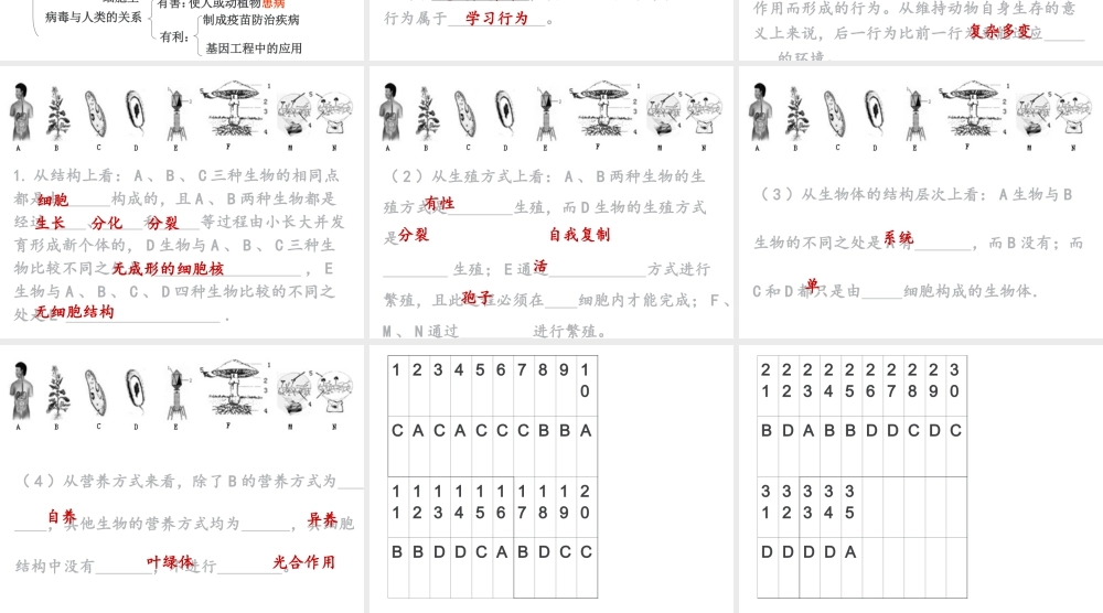 八年级生物下册 第二轮复习 专题五 生物圈中的其他生物课件 新人教版-新人教级下册生物课件