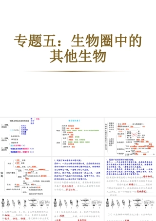 八年级生物下册 第二轮复习 专题五 生物圈中的其他生物课件 新人教版-新人教级下册生物课件