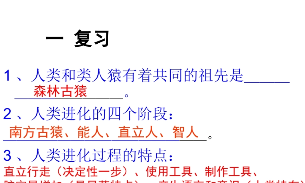 八年级生物下册 第24章 第1节 人体的免疫防线课件 苏科版