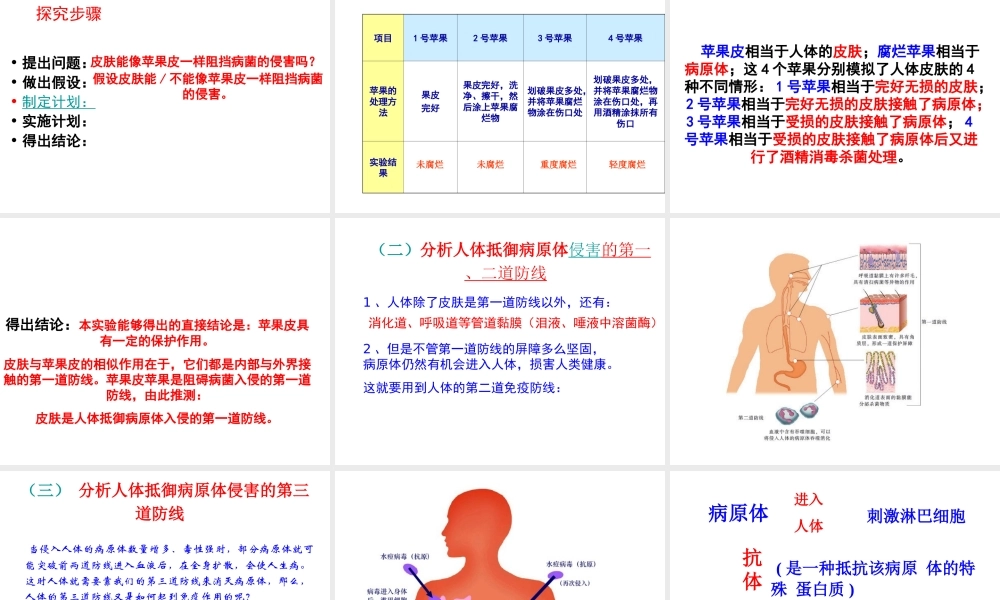 八年级生物下册 第24章 第1节 人体的免疫防线课件 苏科版