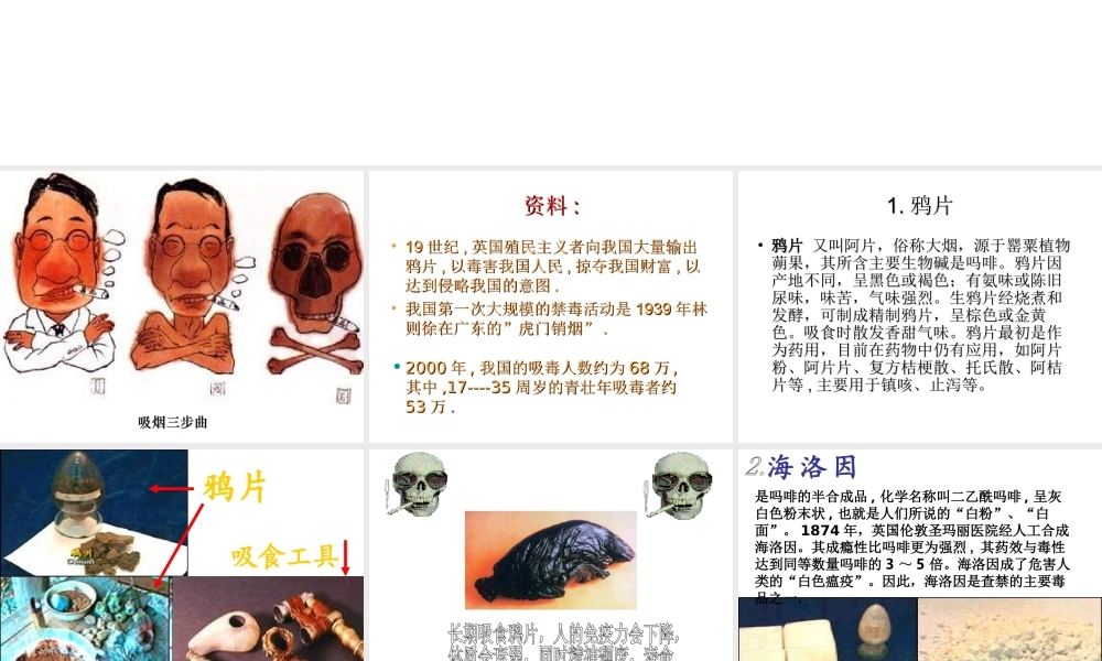 八年级生物下册 第二十六章 第二节 拒绝毒品课件2 （新版）苏教版