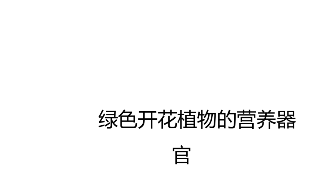 八年级科学上册 第4章 植物的物质和能量的转化 1《绿色开花植物的营养器官》课件 （新版）华东师大版-（新版）华东师大版初中八年级上册自然科学课件