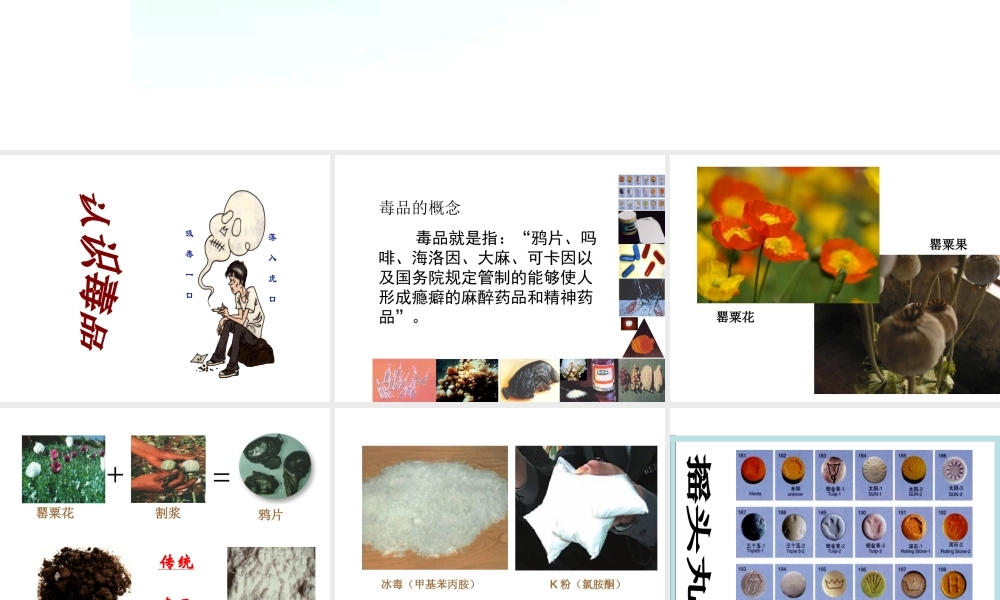 八年级生物下册 第二十六章 第二节 拒绝毒品课件3 （新版）苏教版