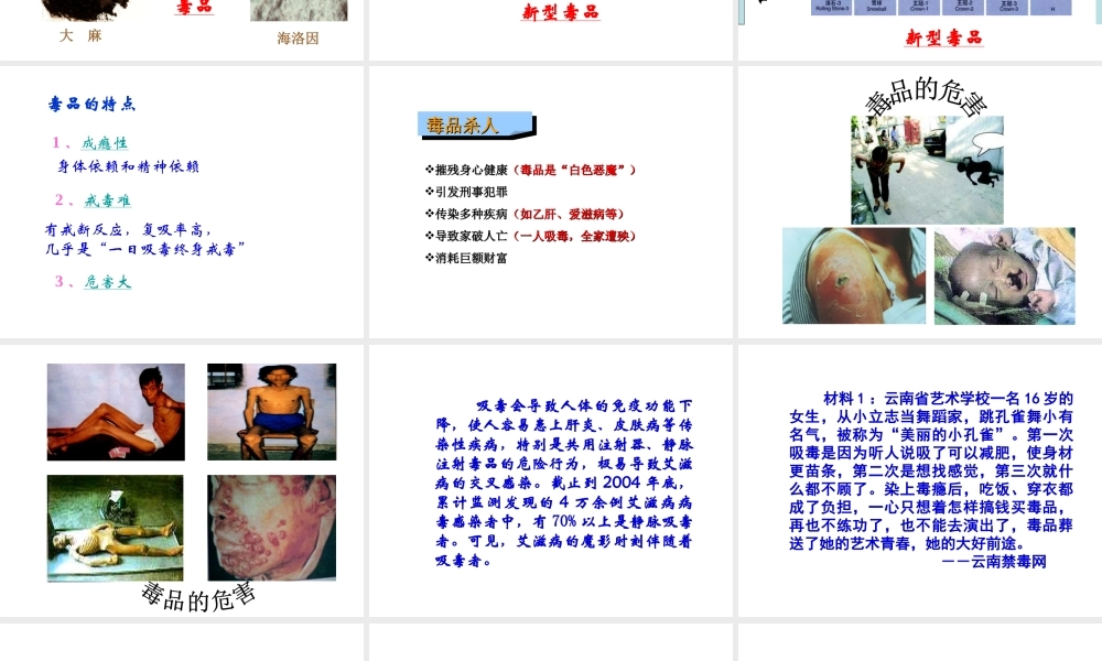 八年级生物下册 第二十六章 第二节 拒绝毒品课件3 （新版）苏教版