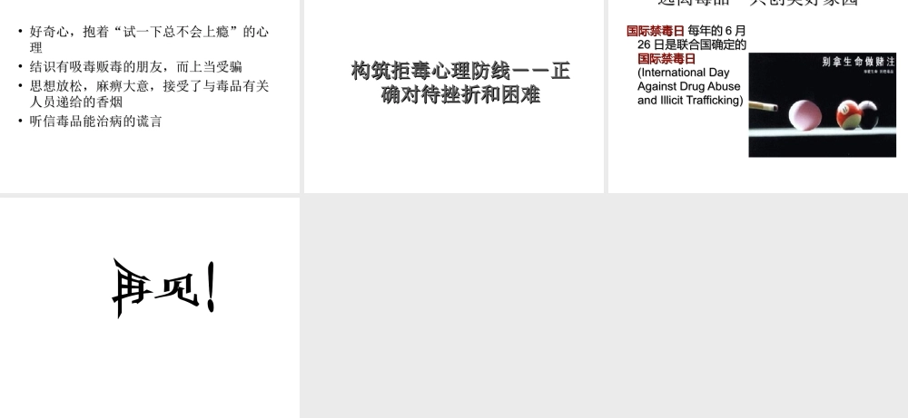 八年级生物下册 第二十六章 第二节 拒绝毒品课件4 （新版）苏教版