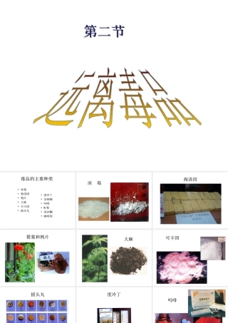 八年级生物下册 第二十六章 第二节 拒绝毒品课件4 （新版）苏教版