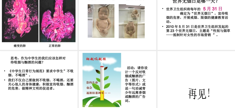 八年级生物下册 第二十六章 第一节 远离烟酒课件1 （新版）苏教版