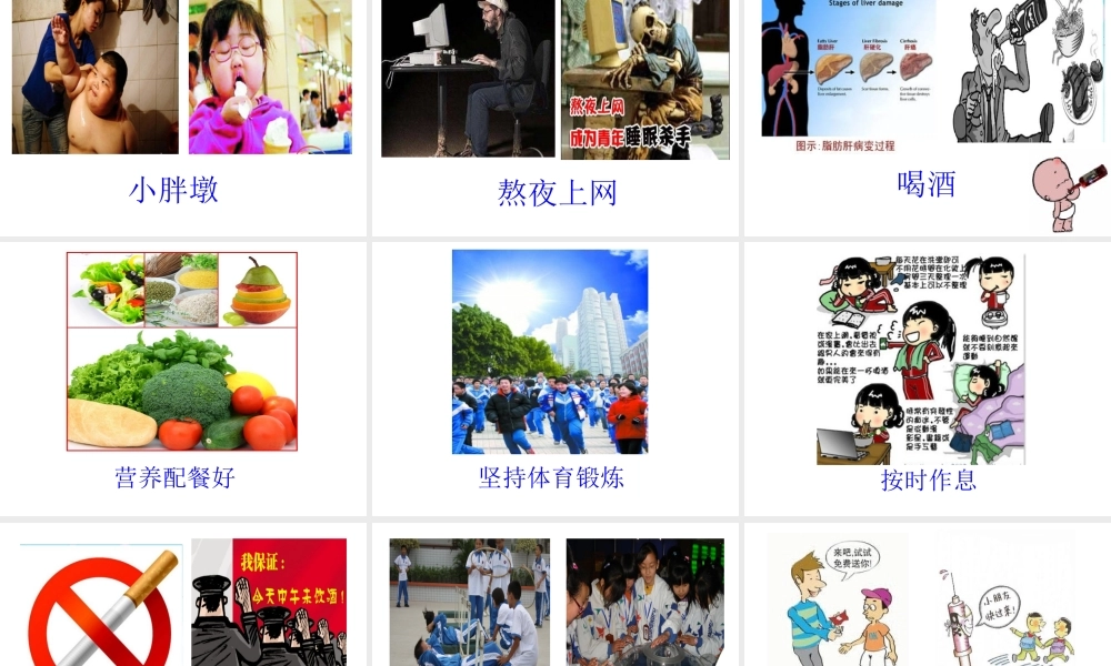 八年级生物下册 第八单元 第三章 第2节《选择健康的生活方式》课件 新人教版