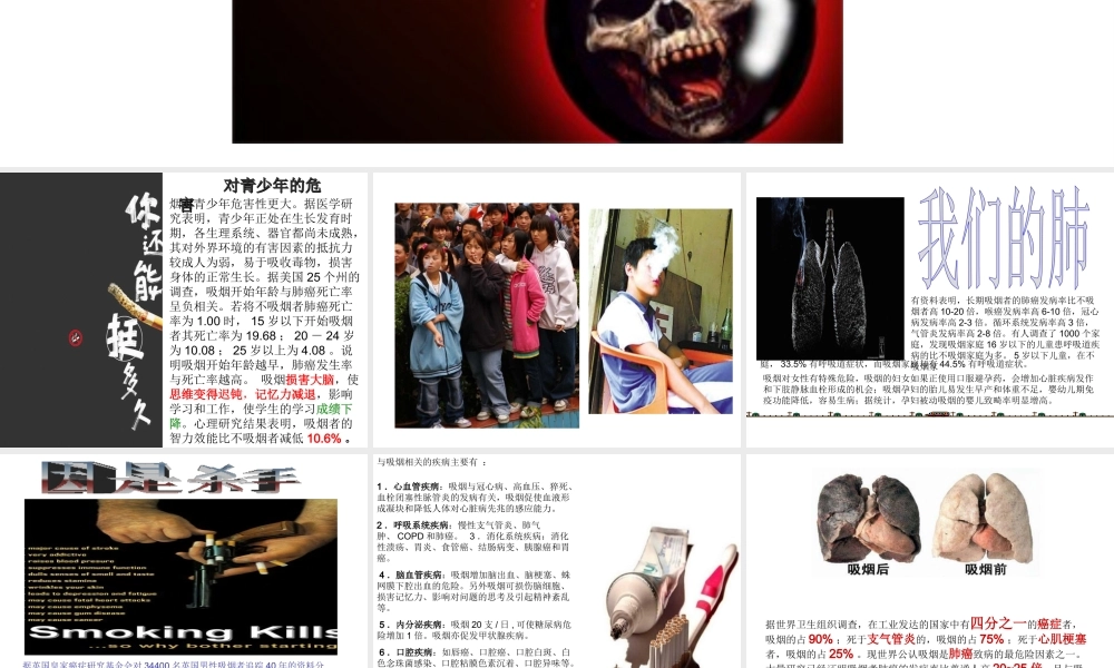 八年级生物下册 第二十六章 第一节 远离烟酒课件2 （新版）苏教版