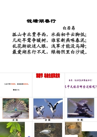 八年级生物下册 第二批教学能手评选 7.1.4 鸟类的生殖和发育课件 （新版）新人教版-（新版）新人教级下册生物课件