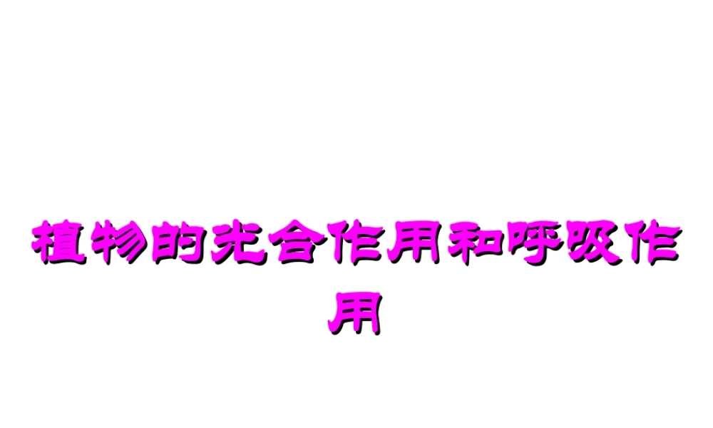 八年级科学上册 第4章 植物的物质和能量的转化 4《植物的光合作用和呼吸作用》课件 （新版）华东师大版-（新版）华东师大版初中八年级上册自然科学课件