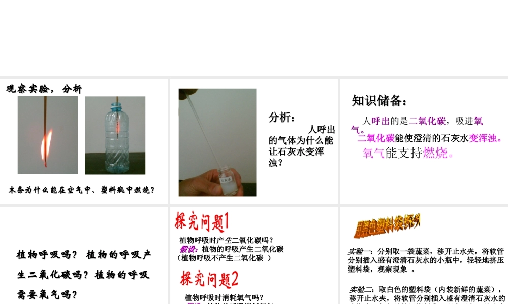 八年级科学上册 第4章 植物的物质和能量的转化 4《植物的光合作用和呼吸作用》课件 （新版）华东师大版-（新版）华东师大版初中八年级上册自然科学课件