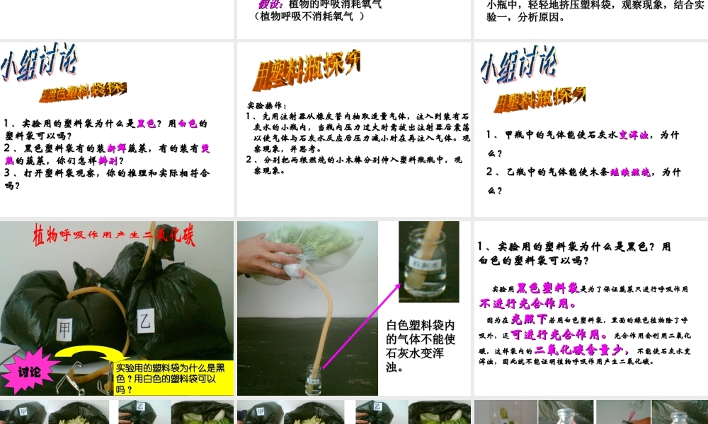 八年级科学上册 第4章 植物的物质和能量的转化 4《植物的光合作用和呼吸作用》课件 （新版）华东师大版-（新版）华东师大版初中八年级上册自然科学课件